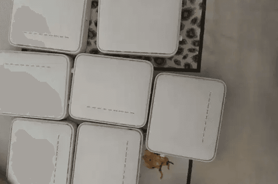 راواتر هواوي 531