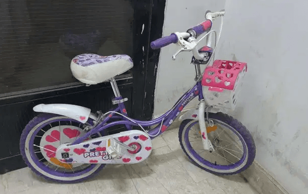 Bicycle with training wheels